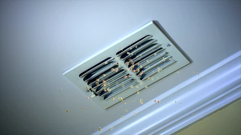 Best Air Duct Sanitizing Services  in Johnsburg, IL