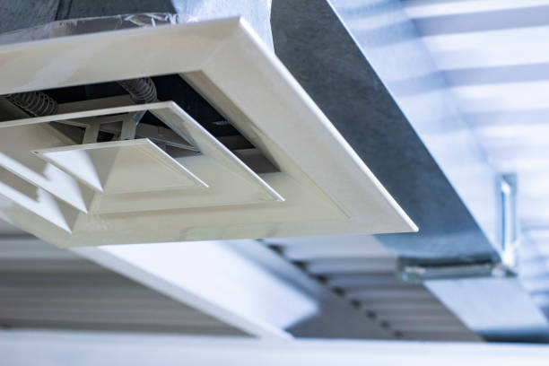 Best Air Duct Cleaning Company Near Me  in Johnsburg, IL