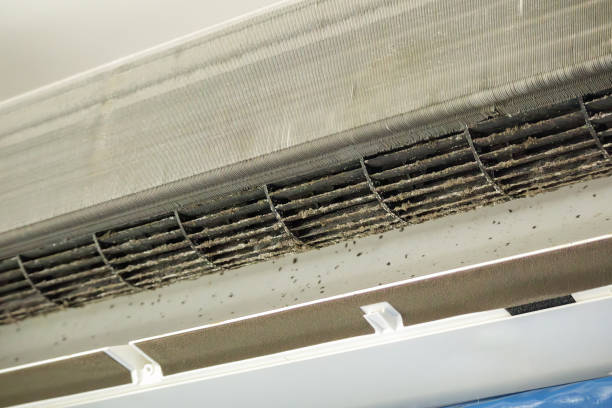 Best Professional Duct Cleaning Services  in Johnsburg, IL
